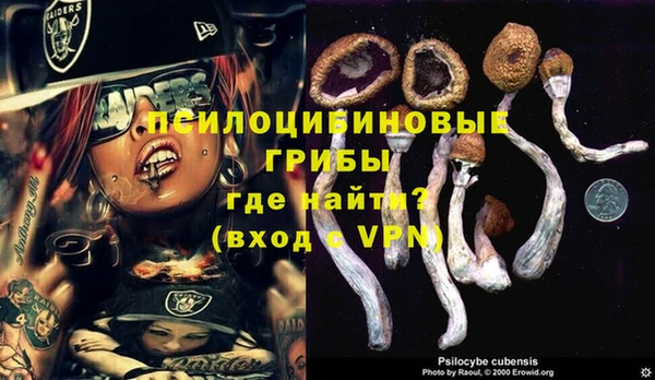 спиды Алексин