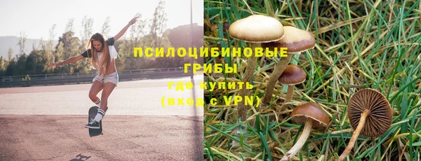 марки nbome Алексеевка