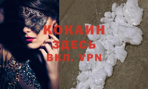 соль ск Алзамай