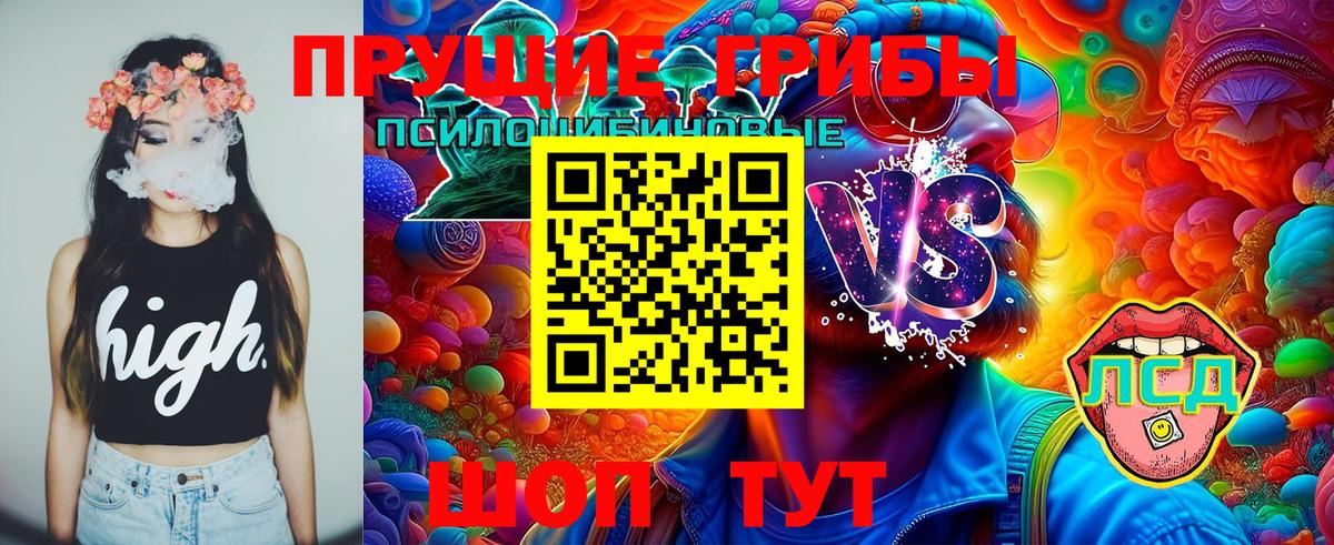 Галлюциногенные грибы Psilocybine cubensis  Вход с VPN  купить наркоту  Борзя 